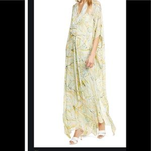 Diane Von Furstenberg Hana Maxi Silk Chiffon Caftan dress
